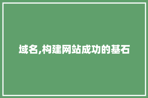 域名,构建网站成功的基石 域名,构建网站成功的基石 百度SEO