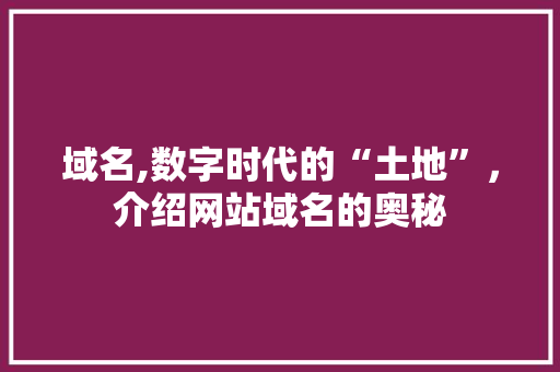 域名,数字时代的“土地”，介绍网站域名的奥秘 域名,数字时代的“土地”，介绍网站域名的奥秘 神马SEO