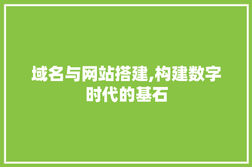 域名与网站搭建,构建数字时代的基石 域名与网站搭建,构建数字时代的基石 搜狗SEO