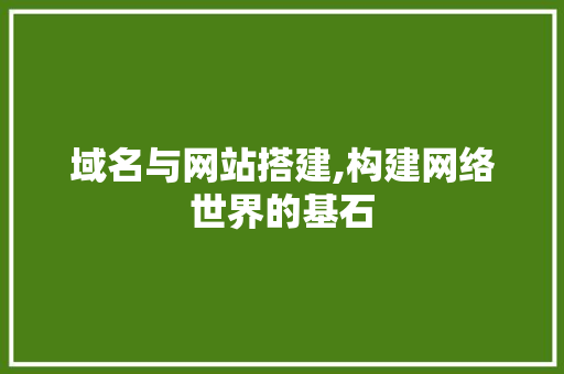 域名与网站搭建,构建网络世界的基石 域名与网站搭建,构建网络世界的基石 神马SEO