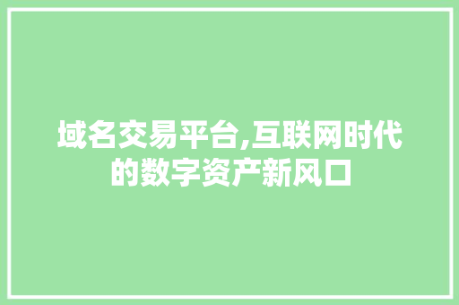 域名交易平台,互联网时代的数字资产新风口 域名交易平台,互联网时代的数字资产新风口 神马SEO