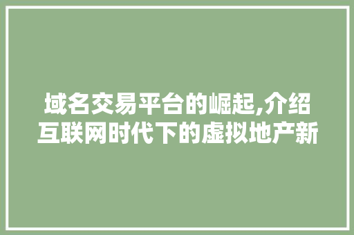 域名交易平台的崛起,介绍互联网时代下的虚拟地产新纪元 域名交易平台的崛起,介绍互联网时代下的虚拟地产新纪元 必应SEO