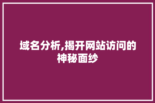 域名分析,揭开网站访问的神秘面纱 域名分析,揭开网站访问的神秘面纱 网站建设公司