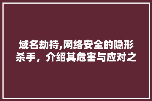 域名劫持,网络安全的隐形杀手，介绍其危害与应对之路 域名劫持,网络安全的隐形杀手，介绍其危害与应对之路 必应SEO