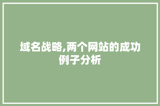 域名战略,两个网站的成功例子分析 域名战略,两个网站的成功例子分析 神马SEO