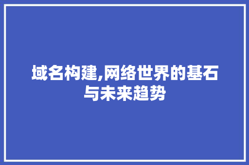 域名构建,网络世界的基石与未来趋势 域名构建,网络世界的基石与未来趋势 网站建设公司