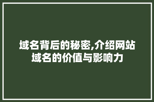 域名背后的秘密,介绍网站域名的价值与影响力 域名背后的秘密,介绍网站域名的价值与影响力 SEO关键词