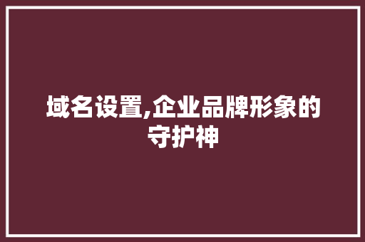 域名设置,企业品牌形象的守护神 域名设置,企业品牌形象的守护神 网站建设公司