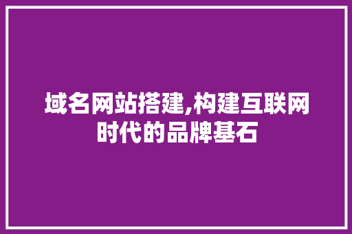 域名网站搭建,构建互联网时代的品牌基石 域名网站搭建,构建互联网时代的品牌基石 搜狗SEO