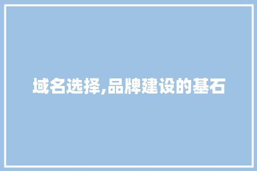 域名选择,品牌建设的基石 域名选择,品牌建设的基石 神马SEO