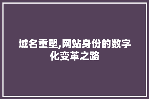 域名重塑,网站身份的数字化变革之路 域名重塑,网站身份的数字化变革之路 网站建设公司