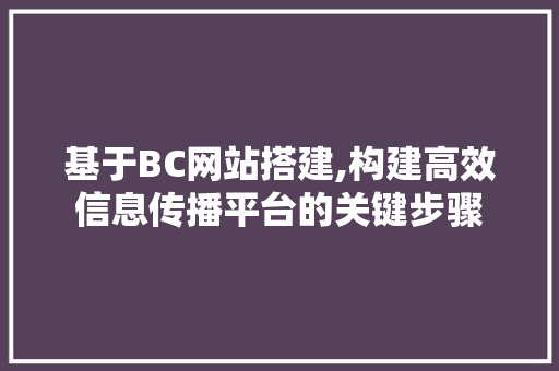 基于BC网站搭建,构建高效信息传播平台的关键步骤 基于BC网站搭建,构建高效信息传播平台的关键步骤 必应SEO
