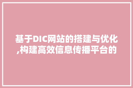 基于DIC网站的搭建与优化,构建高效信息传播平台的方法与思考 基于DIC网站的搭建与优化,构建高效信息传播平台的方法与思考 SEO关键词