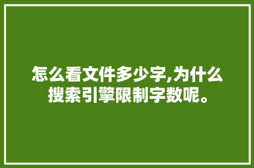 怎么看文件多少字,为什么搜索引擎限制字数呢。 怎么看文件多少字,为什么搜索引擎限制字数呢。 必应SEO