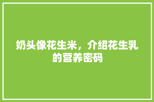 奶头像花生米，介绍花生乳的营养密码 奶头像花生米，介绍花生乳的营养密码 SEO关键词