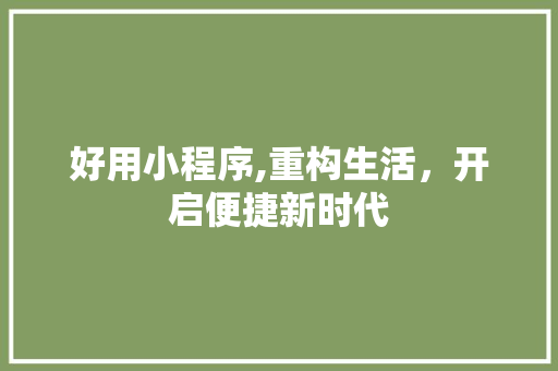 好用小程序,重构生活，开启便捷新时代