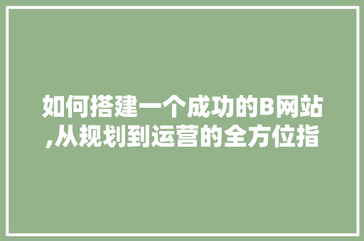 如何搭建一个成功的B网站,从规划到运营的全方位指南