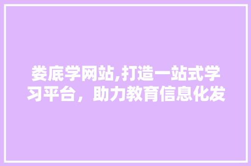 娄底学网站,打造一站式学习平台，助力教育信息化发展 必应SEO