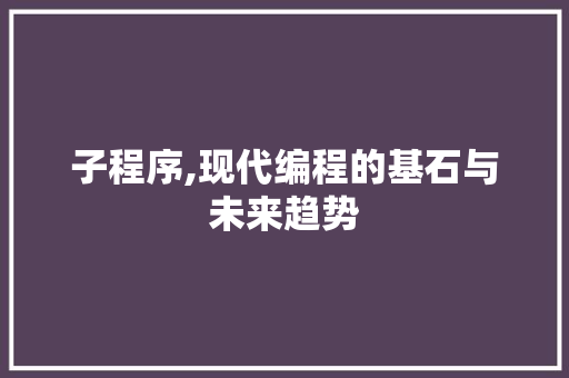 子程序,现代编程的基石与未来趋势 子程序,现代编程的基石与未来趋势 百度SEO