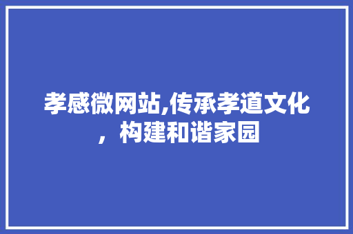 孝感微网站,传承孝道文化，构建和谐家园