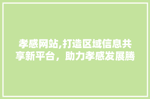 孝感网站,打造区域信息共享新平台，助力孝感发展腾飞 孝感网站,打造区域信息共享新平台，助力孝感发展腾飞 神马SEO