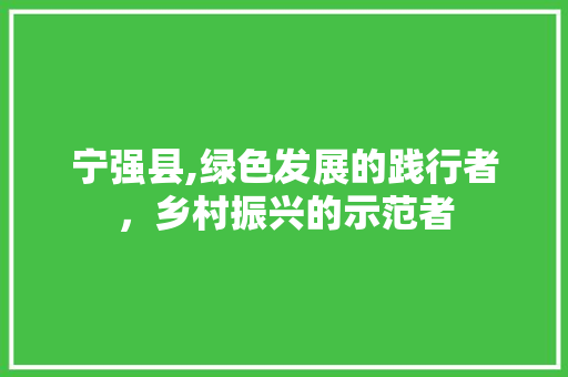 宁强县,绿色发展的践行者，乡村振兴的示范者