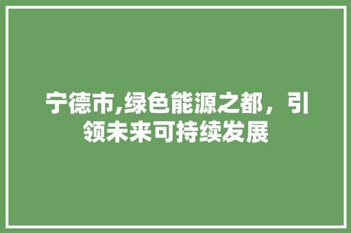 宁德市,绿色能源之都，引领未来可持续发展 宁德市,绿色能源之都，引领未来可持续发展 必应SEO