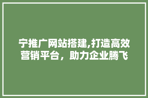 宁推广网站搭建,打造高效营销平台，助力企业腾飞 宁推广网站搭建,打造高效营销平台，助力企业腾飞 必应SEO