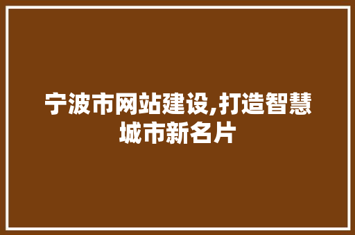 宁波市网站建设,打造智慧城市新名片