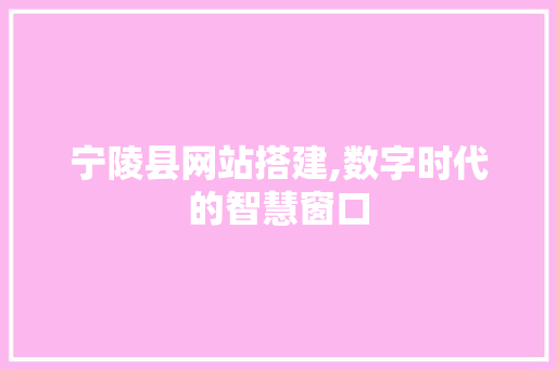 宁陵县网站搭建,数字时代的智慧窗口