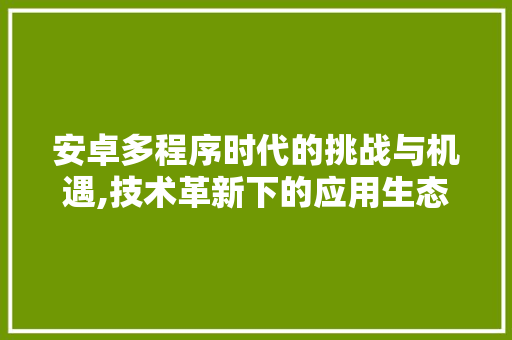 安卓多程序时代的挑战与机遇,技术革新下的应用生态演进