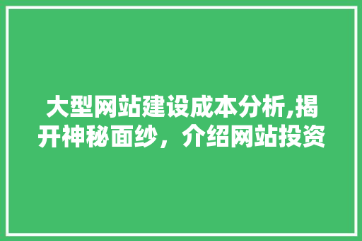 大型网站建设成本分析,揭开神秘面纱，介绍网站投资真相 大型网站建设成本分析,揭开神秘面纱，介绍网站投资真相 必应SEO
