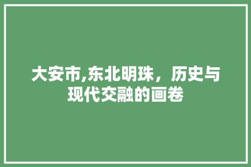 大安市,东北明珠，历史与现代交融的画卷 大安市,东北明珠，历史与现代交融的画卷 SEO关键词