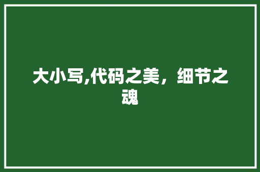 大小写,代码之美，细节之魂 大小写,代码之美，细节之魂 SEO关键词