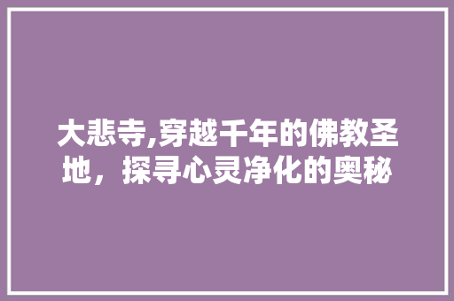 大悲寺,穿越千年的佛教圣地，探寻心灵净化的奥秘 大悲寺,穿越千年的佛教圣地，探寻心灵净化的奥秘 网站建设公司