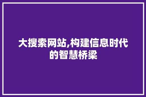 大搜索网站,构建信息时代的智慧桥梁 大搜索网站,构建信息时代的智慧桥梁 神马SEO
