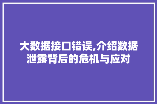 大数据接口错误,介绍数据泄露背后的危机与应对 大数据接口错误,介绍数据泄露背后的危机与应对 SEO关键词