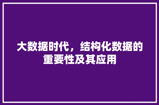 大数据时代，结构化数据的重要性及其应用