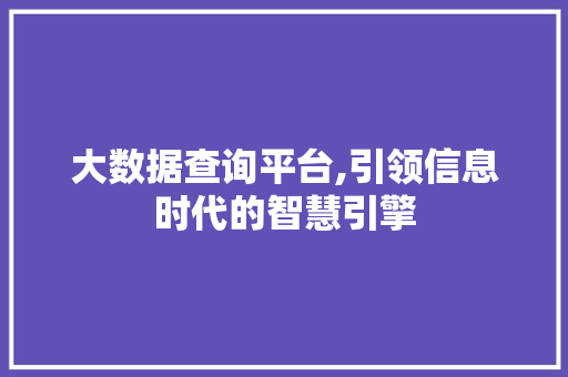 大数据查询平台,引领信息时代的智慧引擎 大数据查询平台,引领信息时代的智慧引擎 必应SEO