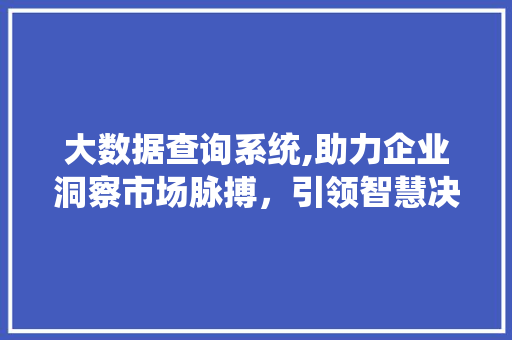 大数据查询系统,助力企业洞察市场脉搏，引领智慧决策新时代 大数据查询系统,助力企业洞察市场脉搏，引领智慧决策新时代 网站建设公司