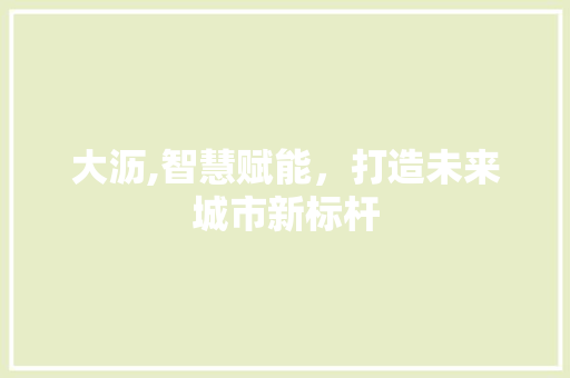 大沥,智慧赋能，打造未来城市新标杆