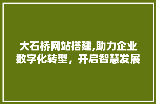 大石桥网站搭建,助力企业数字化转型，开启智慧发展新篇章