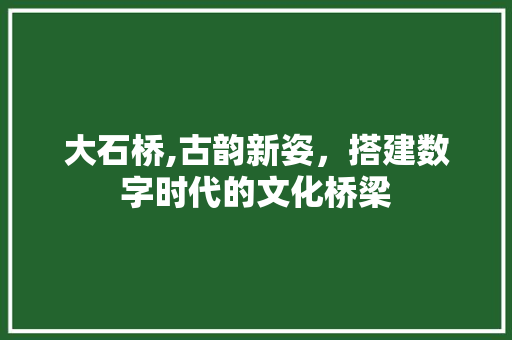 大石桥,古韵新姿，搭建数字时代的文化桥梁