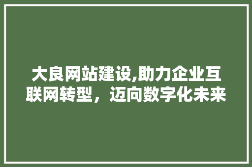 大良网站建设,助力企业互联网转型，迈向数字化未来