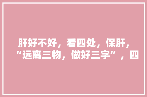 肝好不好，看四处，保肝，“远离三物，做好三字”，四处指的什么,四处一词是什么意思。 肝好不好，看四处，保肝，“远离三物，做好三字”，四处指的什么,四处一词是什么意思。 神马SEO