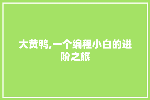 大黄鸭,一个编程小白的进阶之旅 大黄鸭,一个编程小白的进阶之旅 网站建设公司