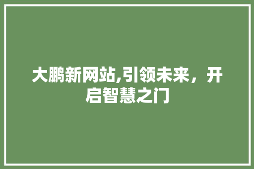 大鹏新网站,引领未来，开启智慧之门 大鹏新网站,引领未来，开启智慧之门 百度SEO