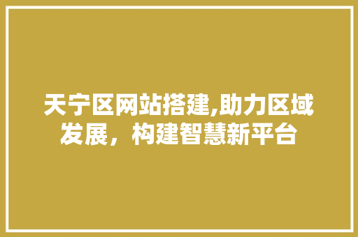 天宁区网站搭建,助力区域发展，构建智慧新平台 天宁区网站搭建,助力区域发展，构建智慧新平台 神马SEO