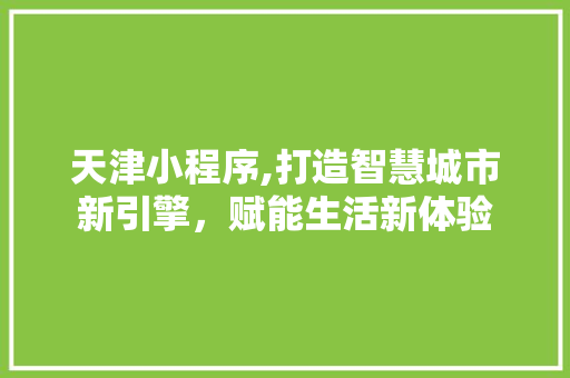 天津小程序,打造智慧城市新引擎，赋能生活新体验