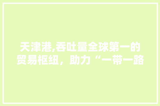 天津港,吞吐量全球第一的贸易枢纽，助力“一带一路”战略布局 天津港,吞吐量全球第一的贸易枢纽，助力“一带一路”战略布局 网站建设公司